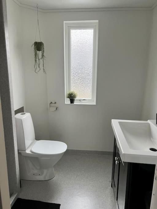 Apartment In The Center Of Torshavn, Free Parking. Eksteriør billede