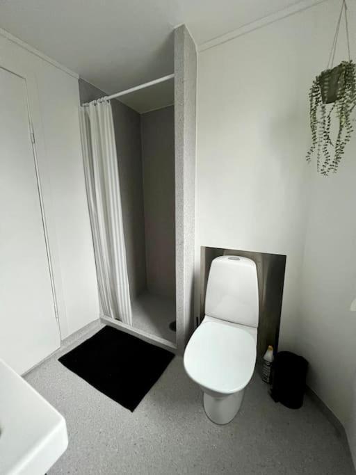 Apartment In The Center Of Torshavn, Free Parking. Eksteriør billede